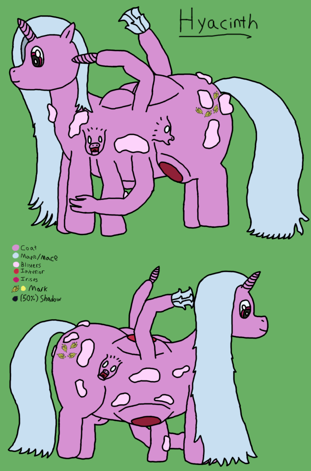 A reference image of Hyacinth, with both sides and colours.