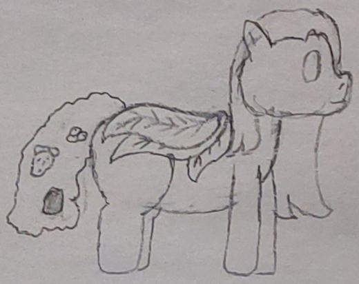 A reference image of an Frond.