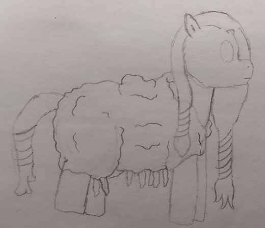 A reference image of a Mesosa.