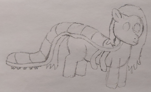 A reference image of a Myrmecoph.