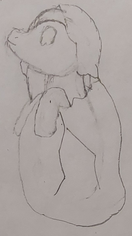 An unspecified puppet hatching from a pupa.